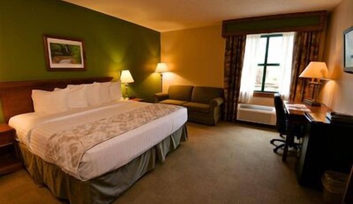 Room, 1 King Bed