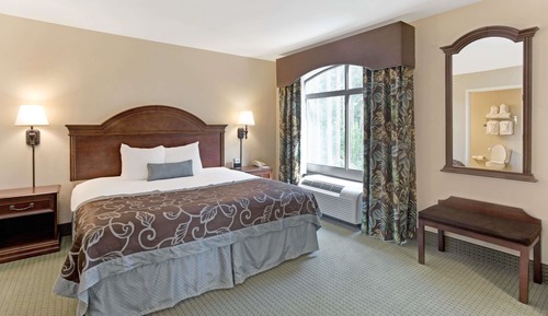 Room, 1 King Bed, Accessible, Non Smoking