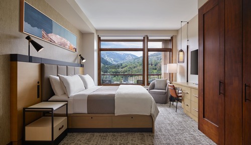 Standard Studio Suite, 1 King Bed with Sofa bed, Accessible (Mobility Accessible, Roll-In Shower)