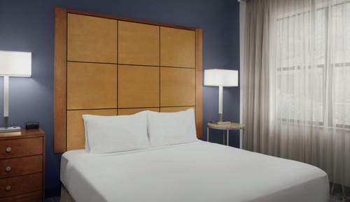 Studio, 1 King Bed with Sofa bed