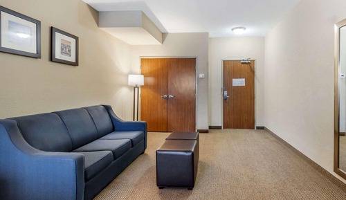 Suite, 1 King Bed with Sofa bed, Non Smoking
