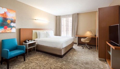 Executive Suite, 1 King Bed, Non Smoking (Mobility/Hearing Accessible, Tub)