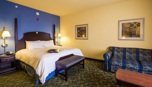 King Study, Room, 1 King Bed with Sofa bed