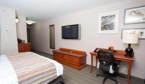 Room, 1 King Bed, Non Smoking