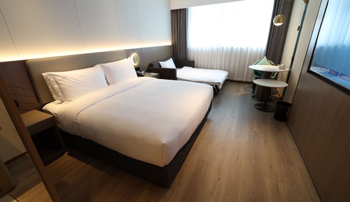 Standard Room, 1 King Bed with Sofa bed