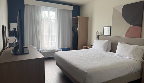 Room, 1 King Bed, Accessible (Mobility & Hearing, Roll-in Shower)