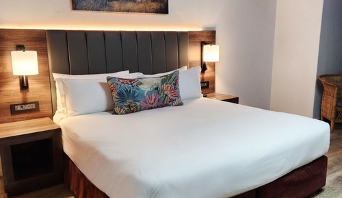 Deluxe Room, 1 King Bed