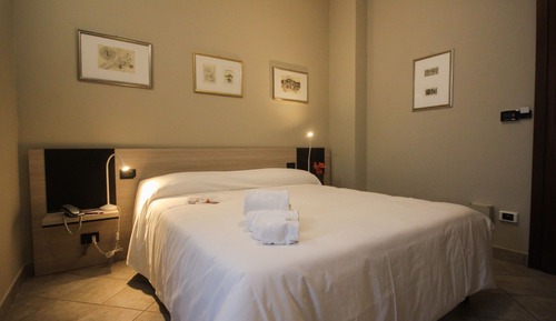Basic Double Room