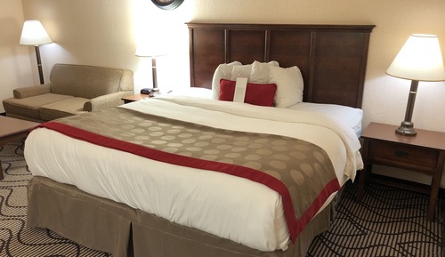 Room, 1 King Bed, Non Smoking