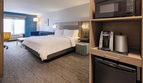 Suite, 1 King Bed with Sofa bed