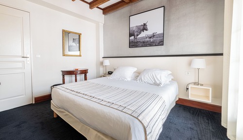 Family Suite (For 4 persons)