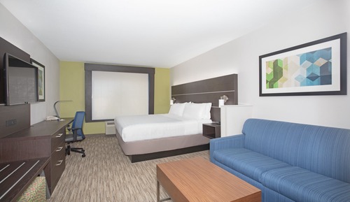 Suite, 1 King Bed with Sofa bed