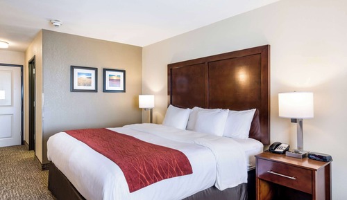 Room, 1 King Bed, Non Smoking