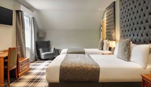 Family Room, Multiple Beds (Classic)