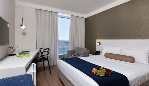 Deluxe Double Room, 1 Double Bed