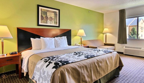 Standard Room, 1 King Bed with Sofa bed, Non Smoking