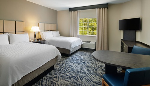 Studio Suite, 2 Double Beds