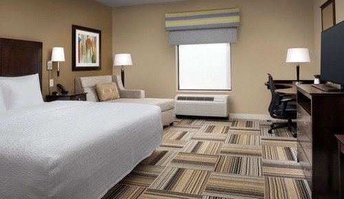 Room, 1 King Bed, Accessible (Mobility, Roll-in Shower)