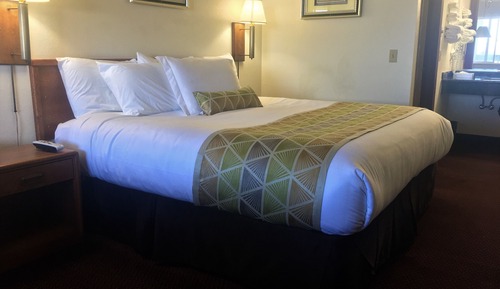 Room, 1 King Bed (No Pets)