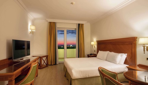 Superior Room, 1 King Bed