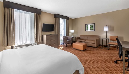 Standard Room, 1 King Bed, Accessible, Bathtub (with Sofabed)