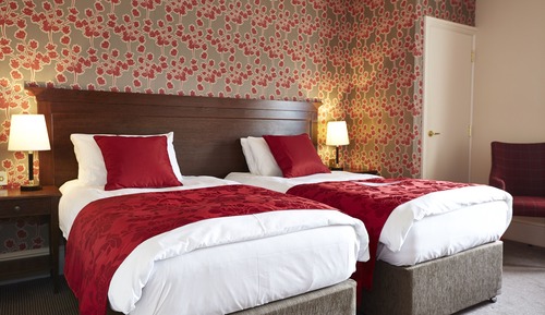 Standard Room, 1 Double Bed