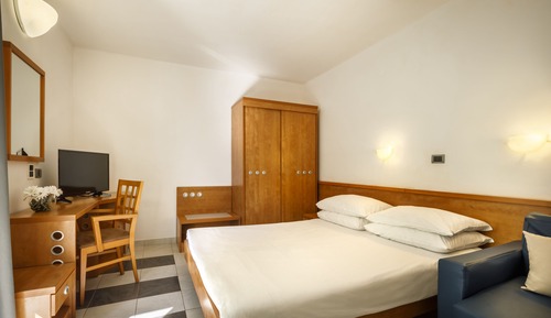 Standard Double Room, 1 Queen Bed with Sofa bed