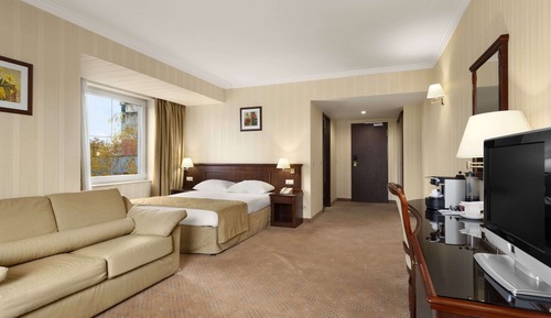 Business Room, 1 King Bed, Non Smoking