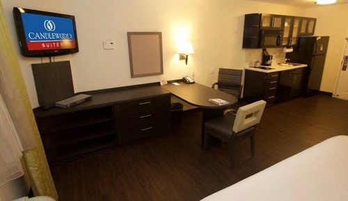 Studio Suite, 1 King Bed, Refrigerator