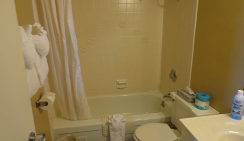 Studio, 2 Queen Beds, Kitchen
