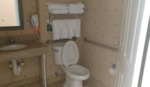 Room, 1 King Bed, Non Smoking