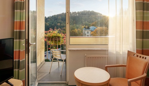 Double or Twin Room (Wellness access)