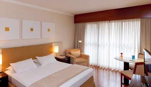 Executive Suite, 1 King Bed