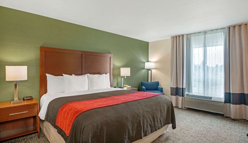 Room, 1 King Bed, Accessible, Non Smoking