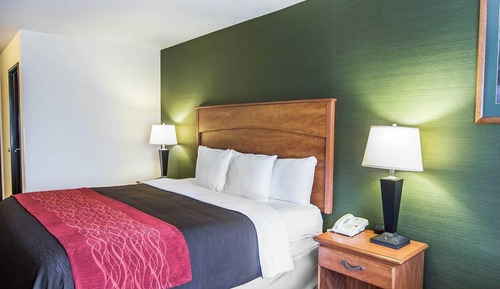 Standard Room, 1 King Bed, Non Smoking