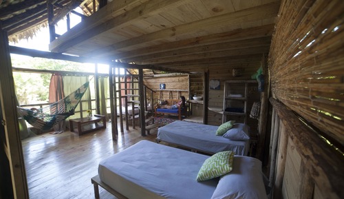 Traditional Tree House