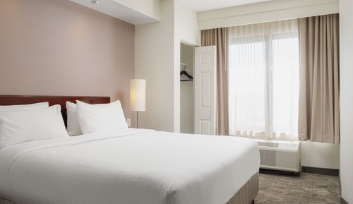 Suite, 1 King Bed with Sofa bed