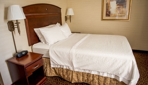 Room, 1 Queen Bed (Select)