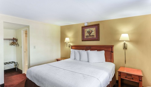 Room, 1 King Bed, Smoking