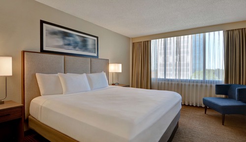 Suite, 1 King Bed, Non Smoking