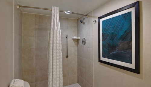 Suite, Accessible, Non Smoking