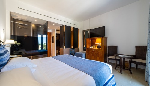 Deluxe Double Room Single Use