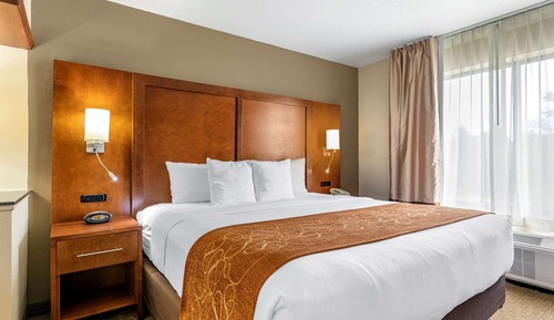 Suite, 1 King Bed with Sofa bed, Non Smoking