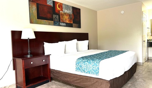 Double Room, 1 King Bed, Refrigerator & Microwave