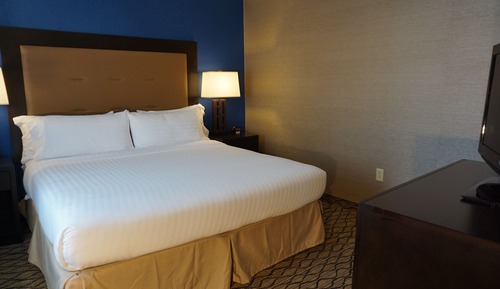 Suite, 1 King Bed with Sofa bed (Wet Bar)