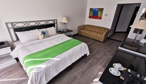 Premium Room, 1 King Bed, Non Smoking