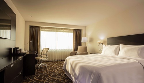 Room, 1 King Bed, Accessible
