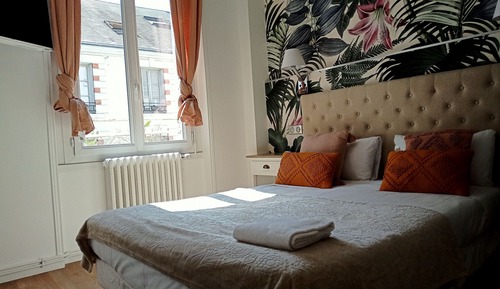 Comfort Suite