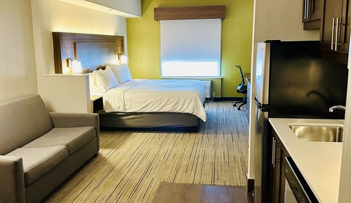 Suite, 1 King Bed with Sofa bed