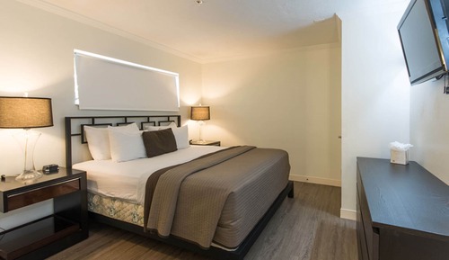 Deluxe Suite, 1 King Bed